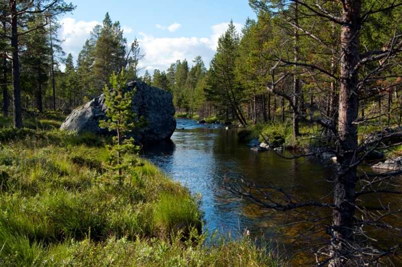 Szlakiem czerwonej drogi